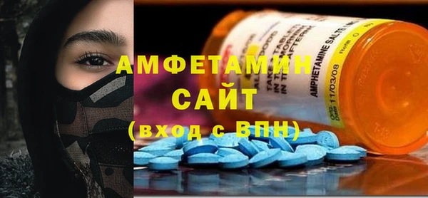 молекула духа Каменка