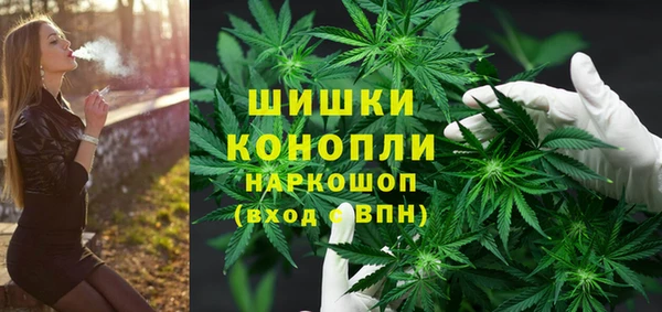молекула духа Каменка