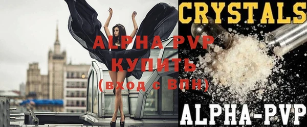 молекула духа Каменка