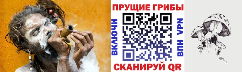 Купить  Углич  Псилоцибиновые грибы прущие грибы 